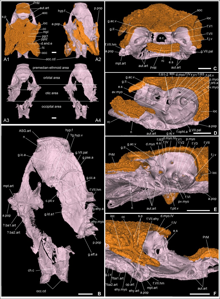 Fig 2