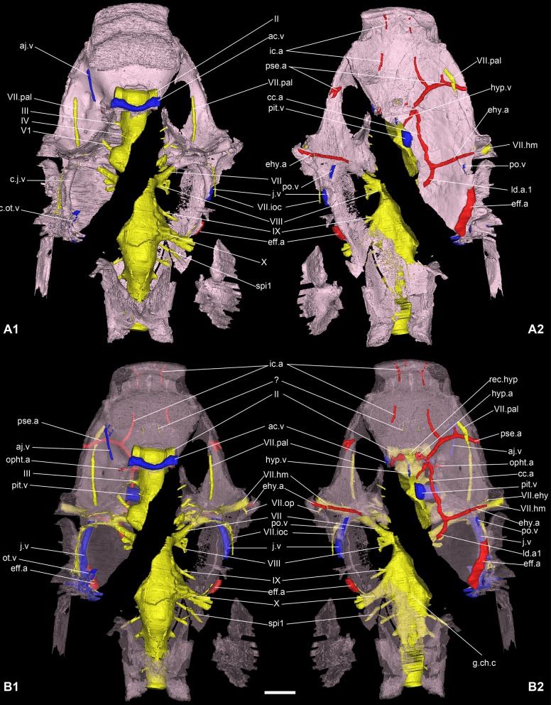 Fig 10