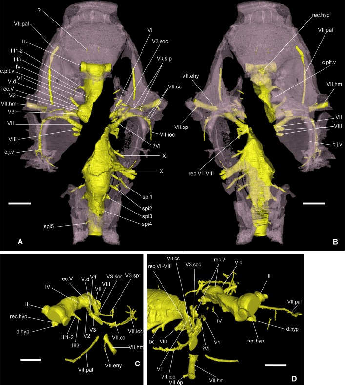 Fig 6