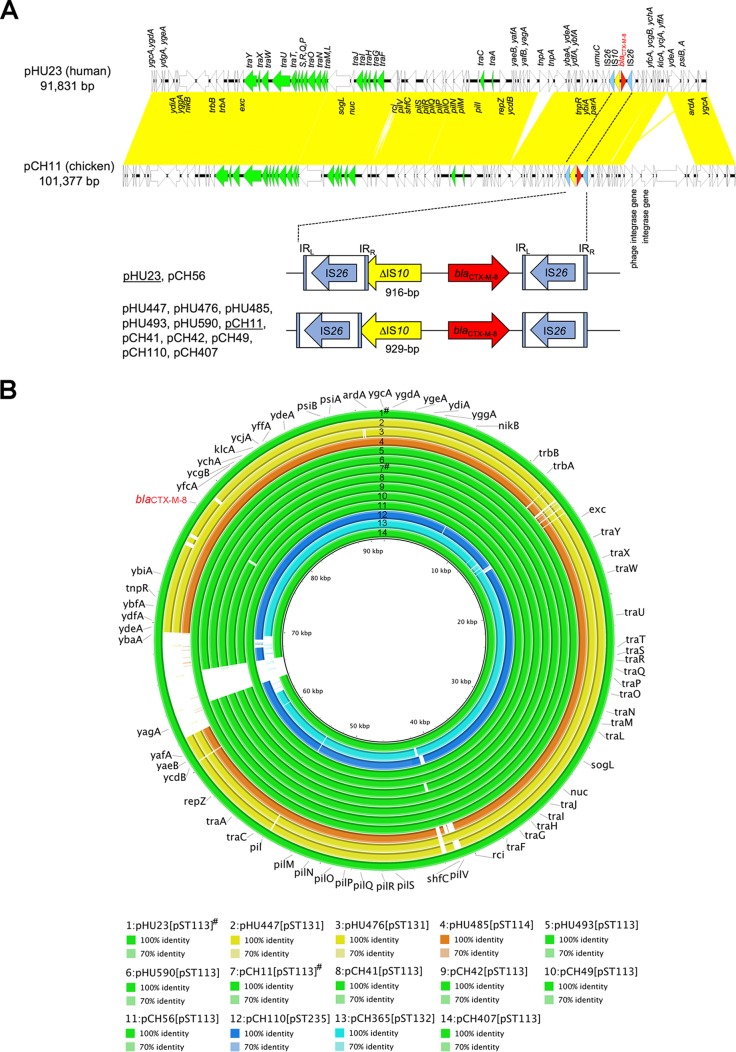 FIG 1