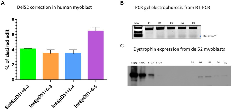 Figure 5