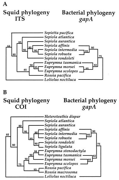 FIG. 1