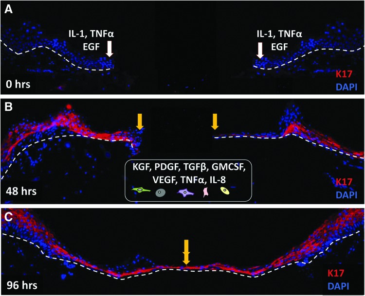 Figure 3.