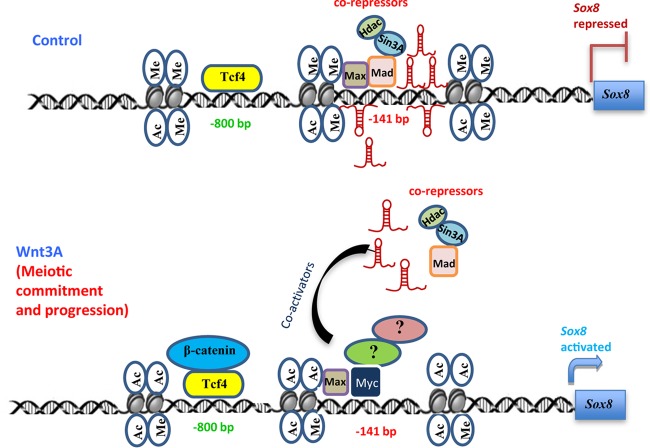 FIG 10