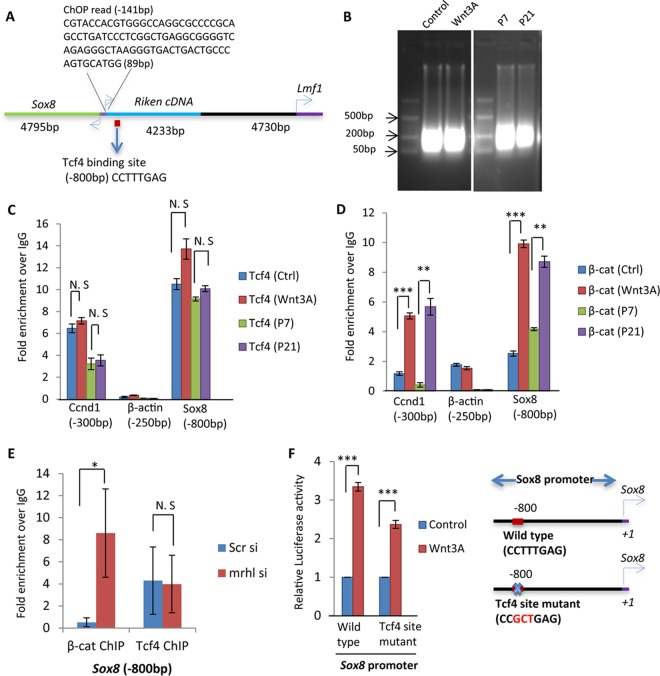 FIG 3