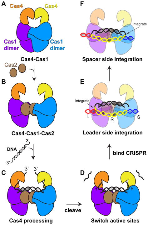 Figure 6