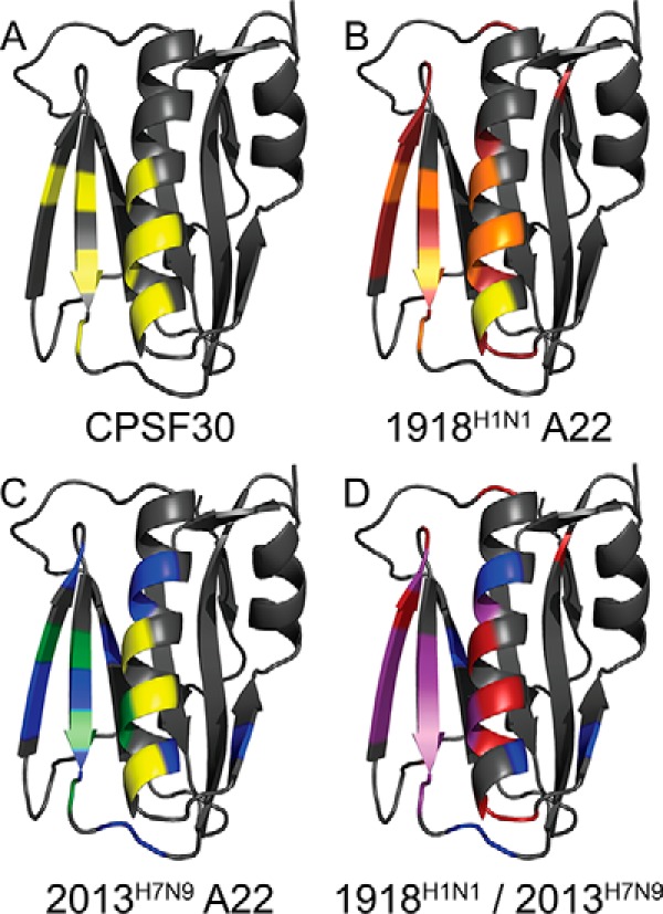 Figure 10.
