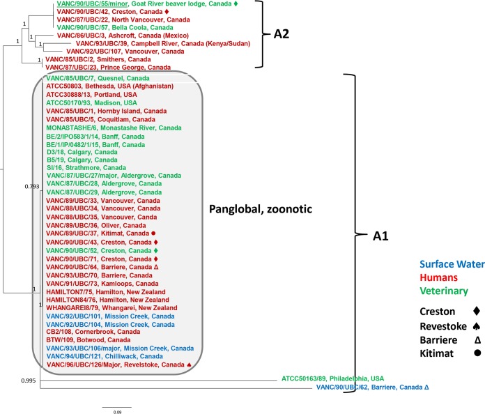 FIG 2 