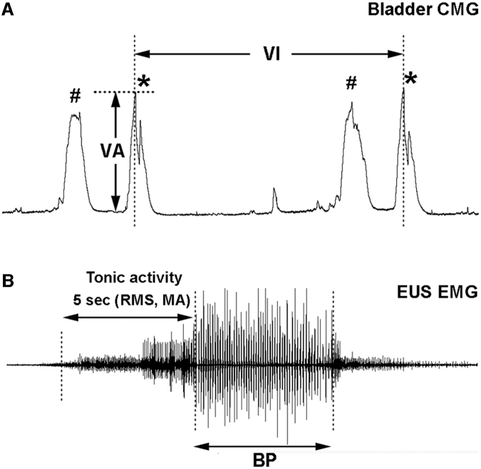 FIG. 1.