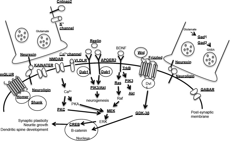 Figure 5.