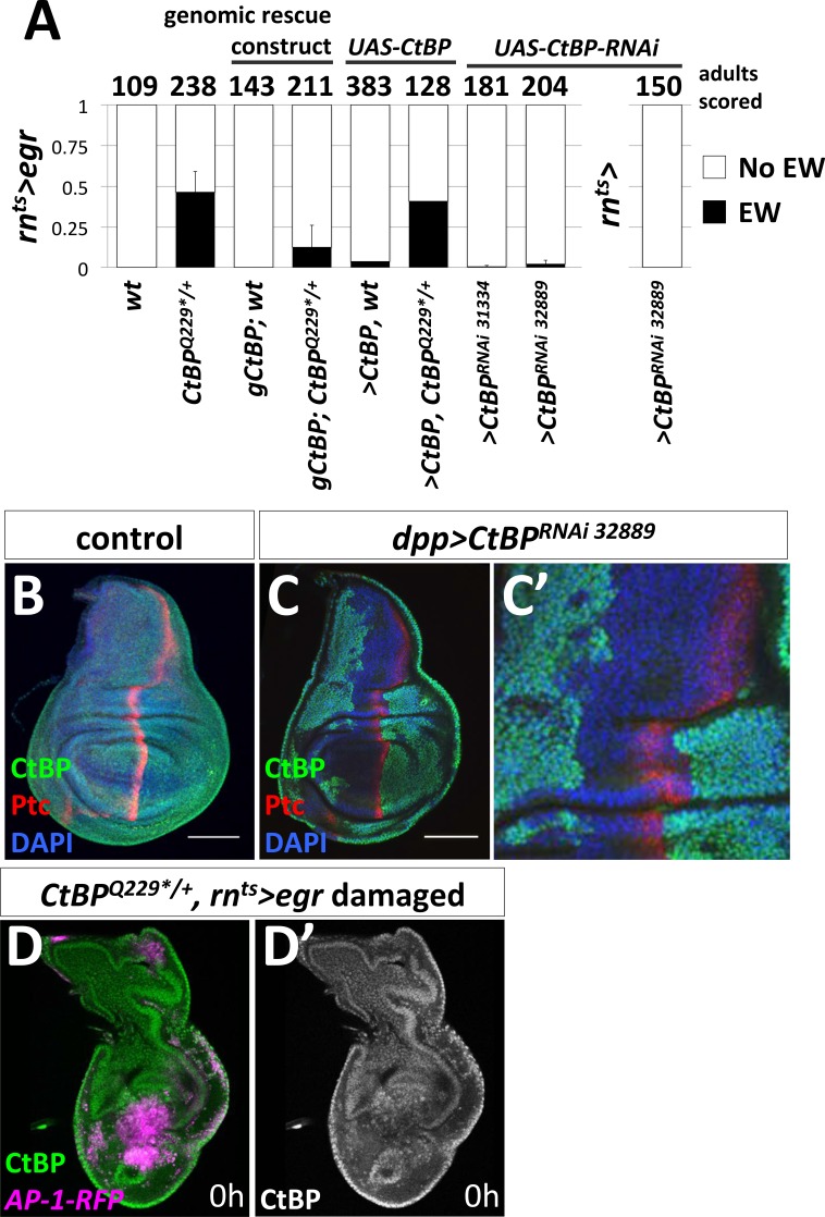 Figure 5—figure supplement 6.