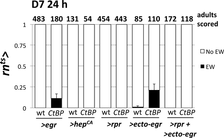 Figure 5—figure supplement 2.