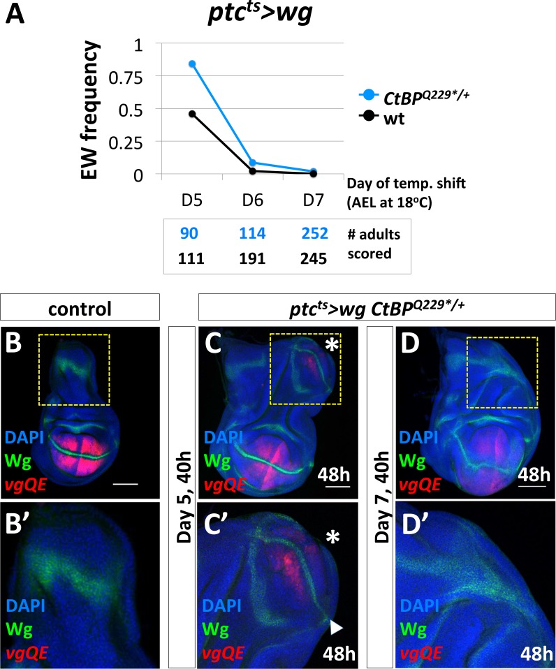 Figure 3—figure supplement 1.