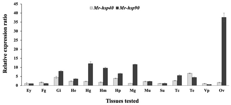 Figure 7