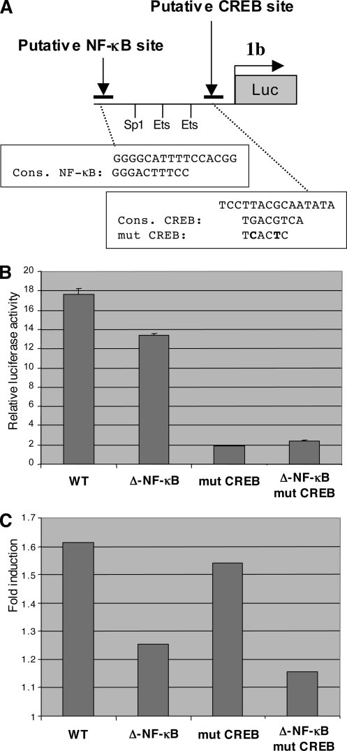 FIG. 4.