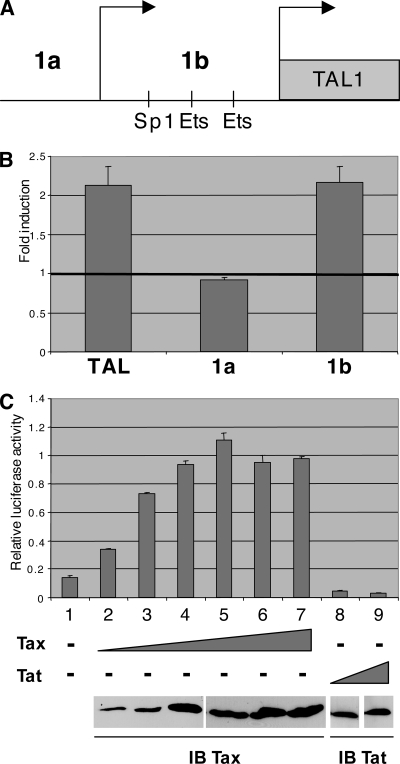 FIG. 2.