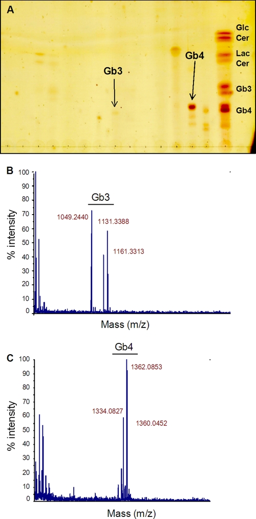 FIG. 4.