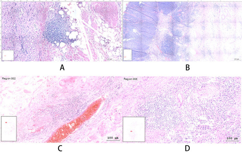 Fig. 1