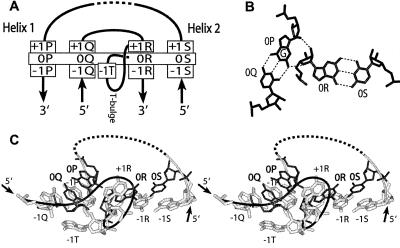 FIGURE 1.