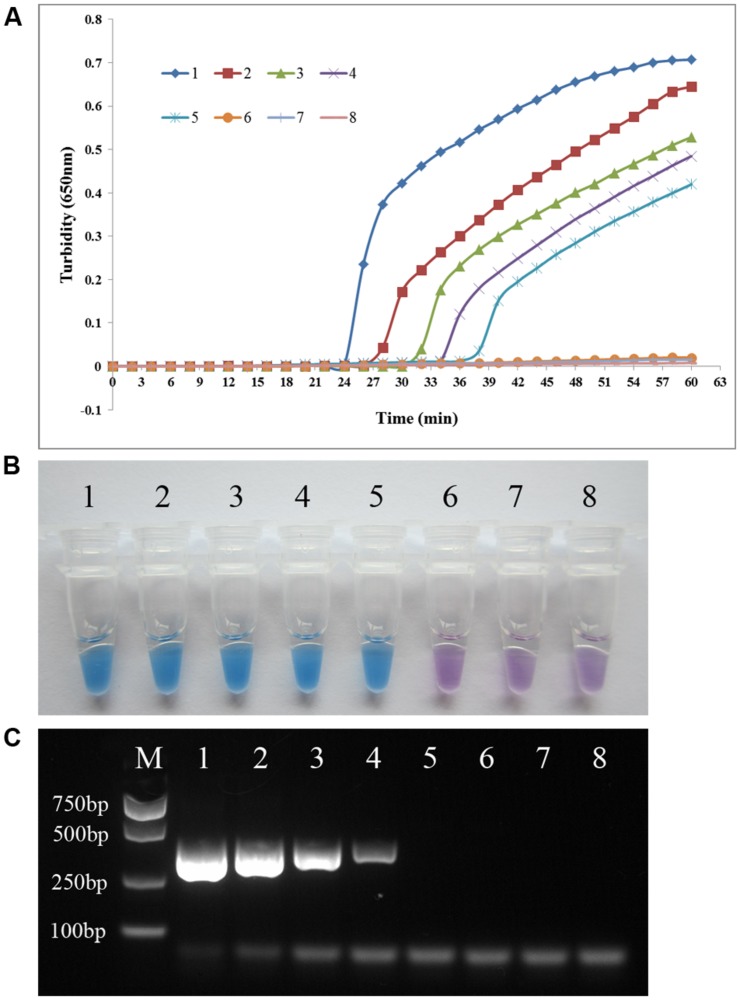 FIGURE 4