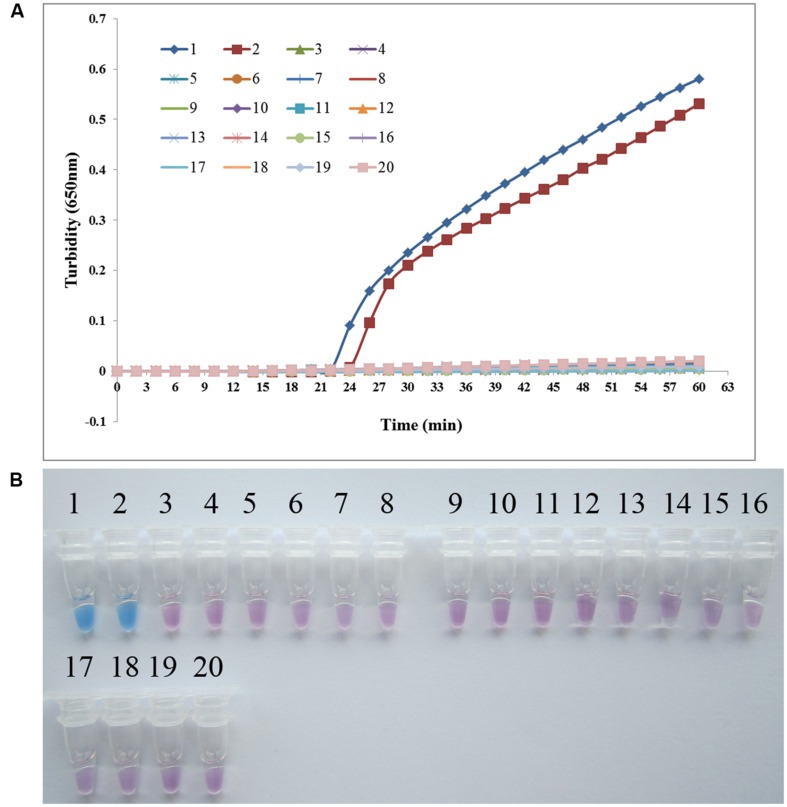 FIGURE 3