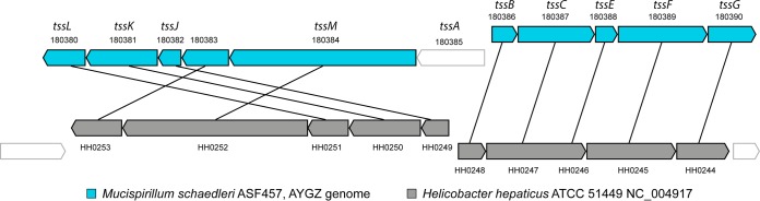 FIG 4 