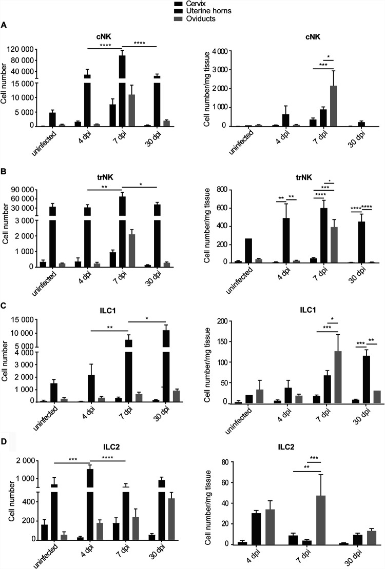 FIG 2