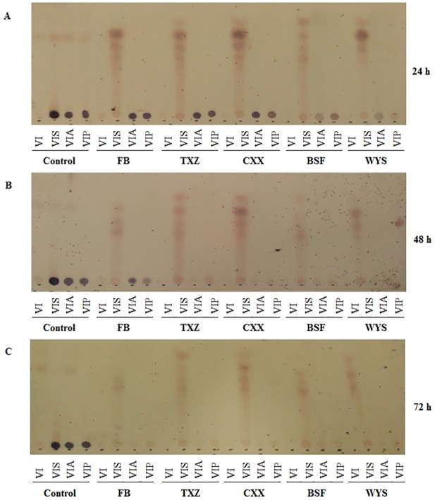 Fig 2