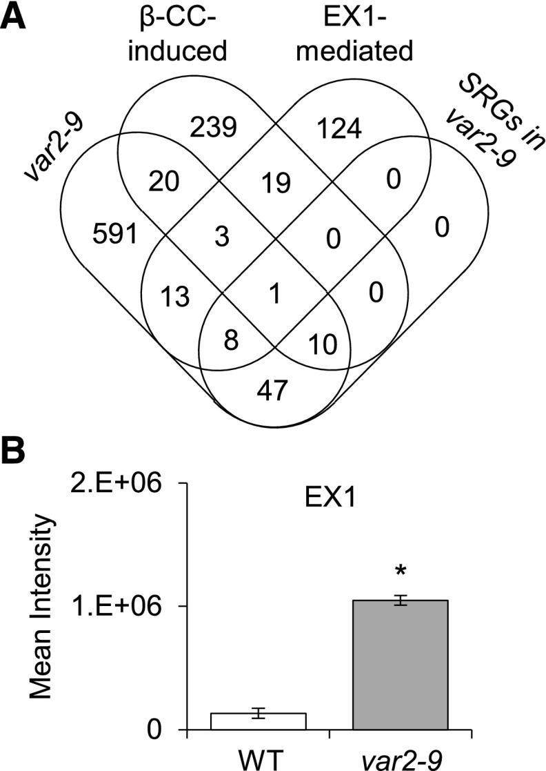 Figure 5.