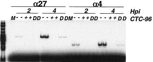 FIG. 5