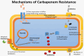 Figure 5