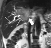 Fig. 10