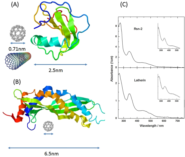 Fig. 11