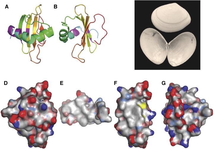 Fig. 4