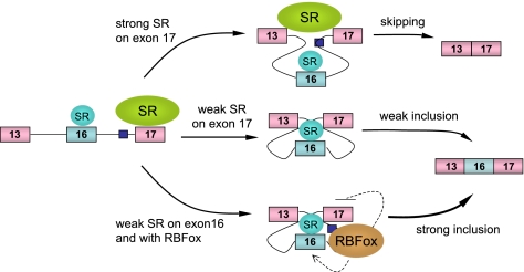 FIG. 7.