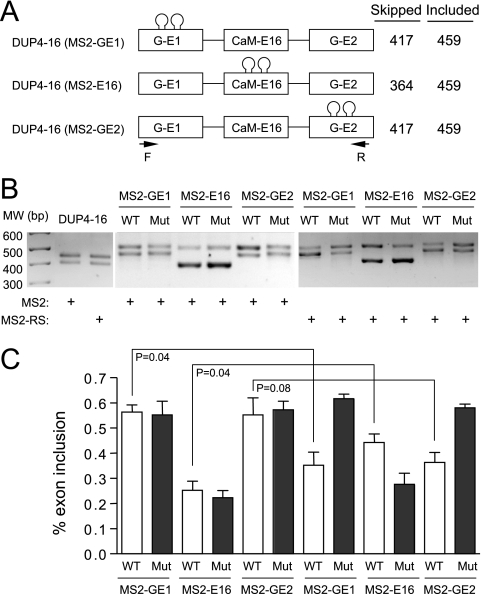 FIG. 4.