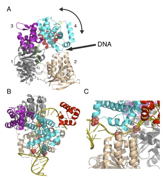 Fig. 1