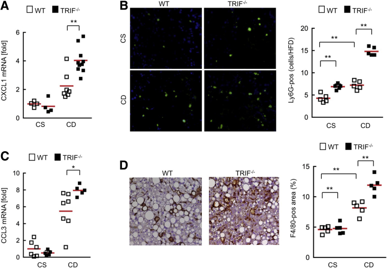 Figure 6