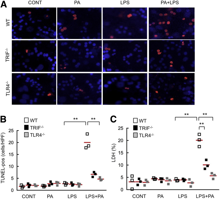 Figure 4