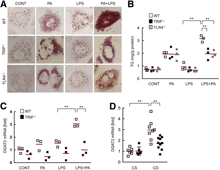 Figure 3