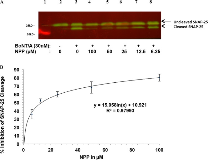 FIG 6