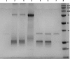 FIG 5