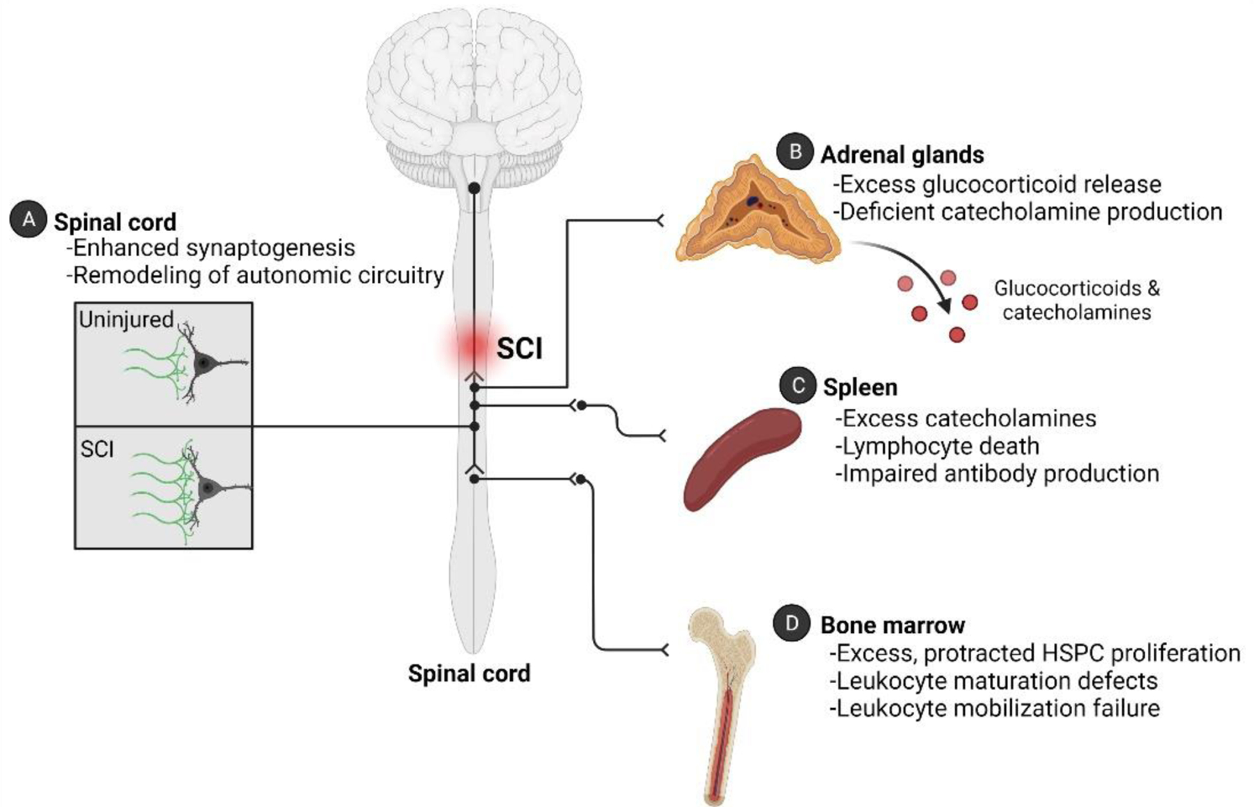 Fig 1.