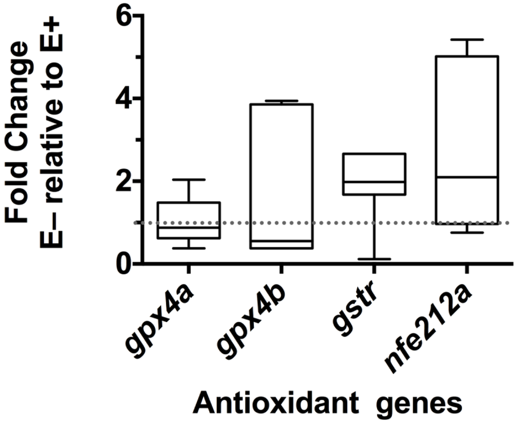 Figure 3: