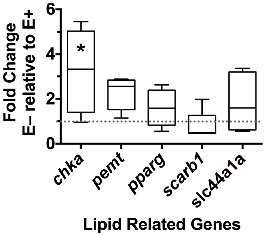 Figure 4: