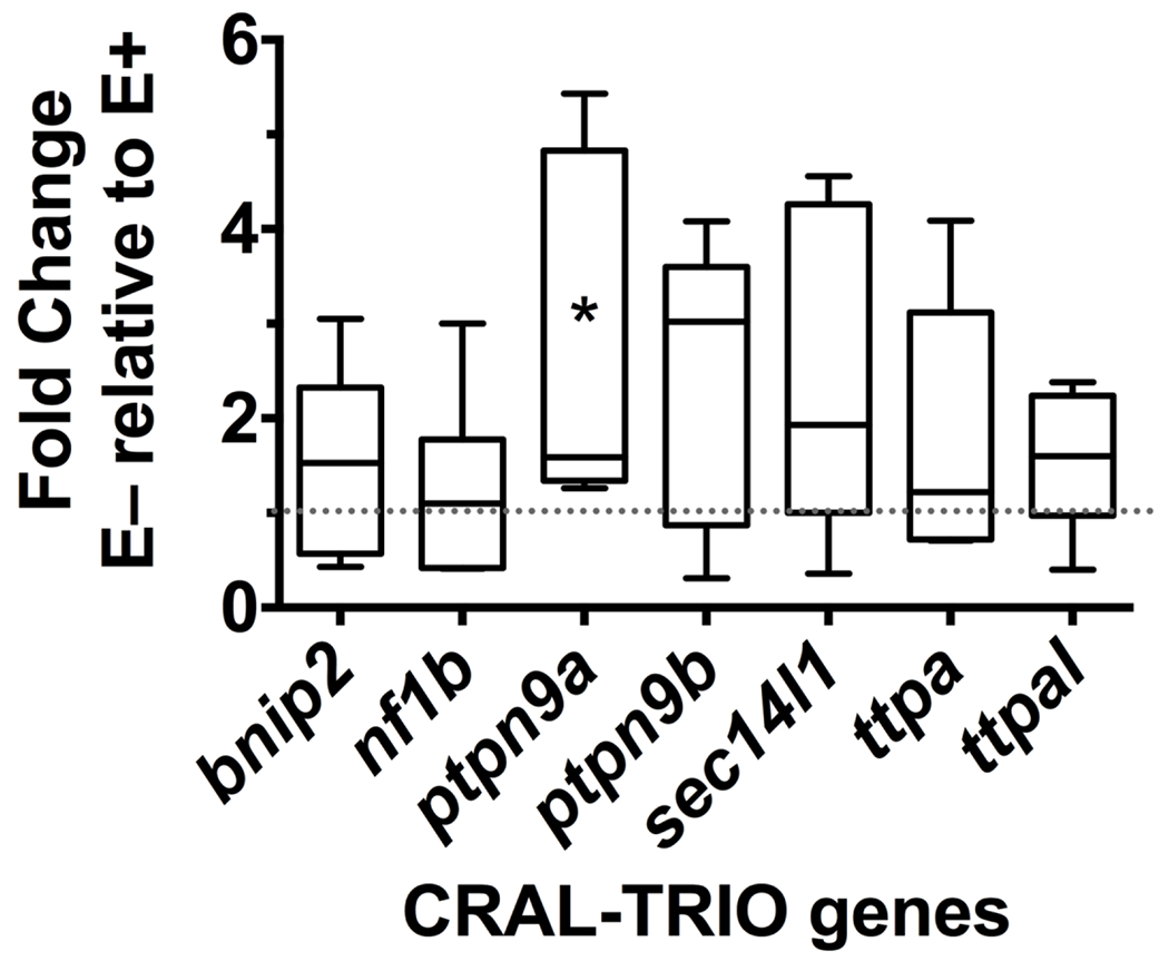 Figure 2: