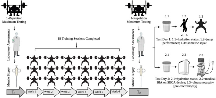 FIGURE 1