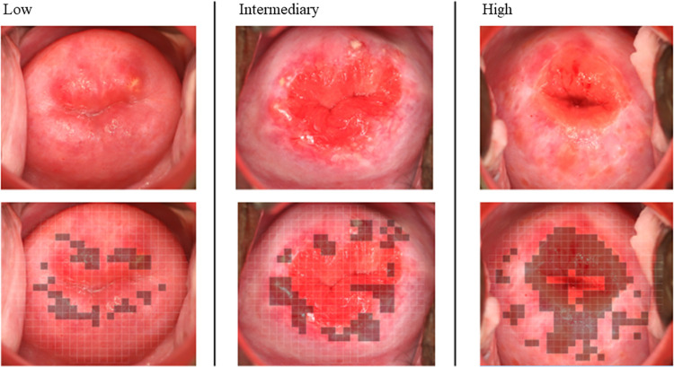 Fig 4