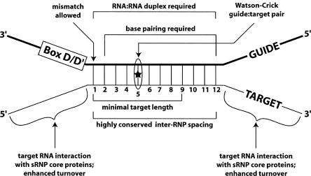 FIGURE 8.