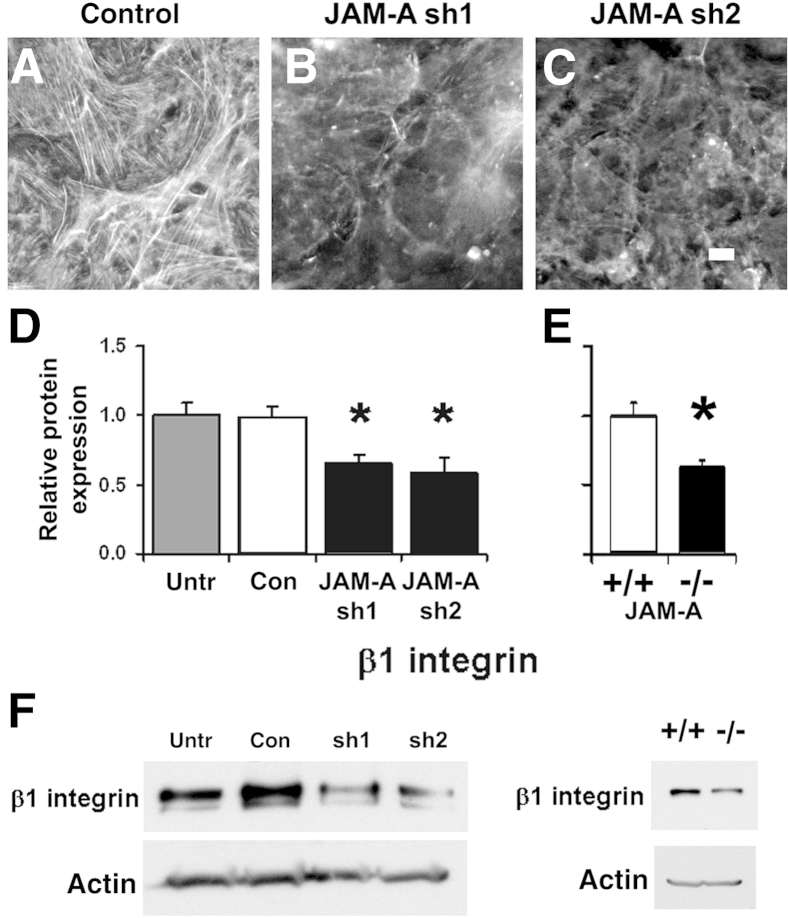 Figure 5